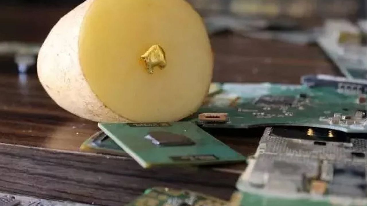 Her evde var ama değerini kimse bilmiyor! 22 ayar altın kıymetinde