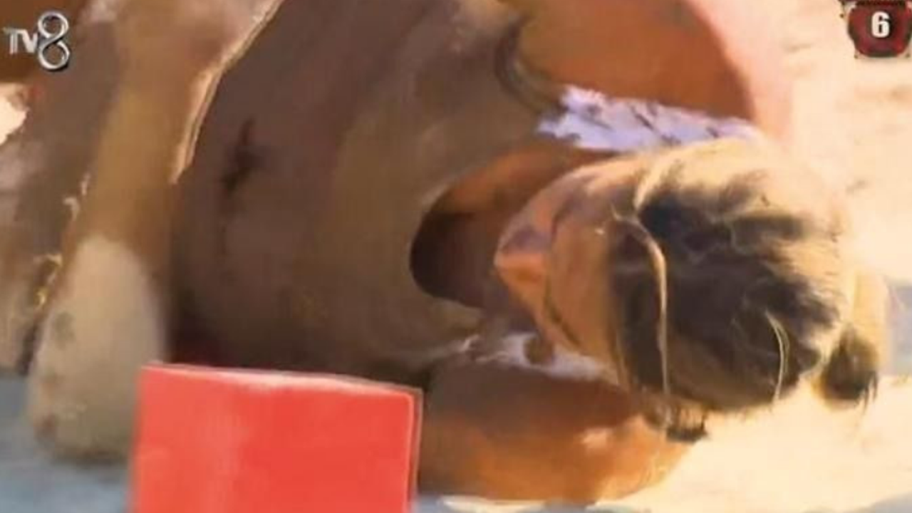 Survivor Asena bir anda yere yığıldı! Kimse ne olduğunu anlayamadı