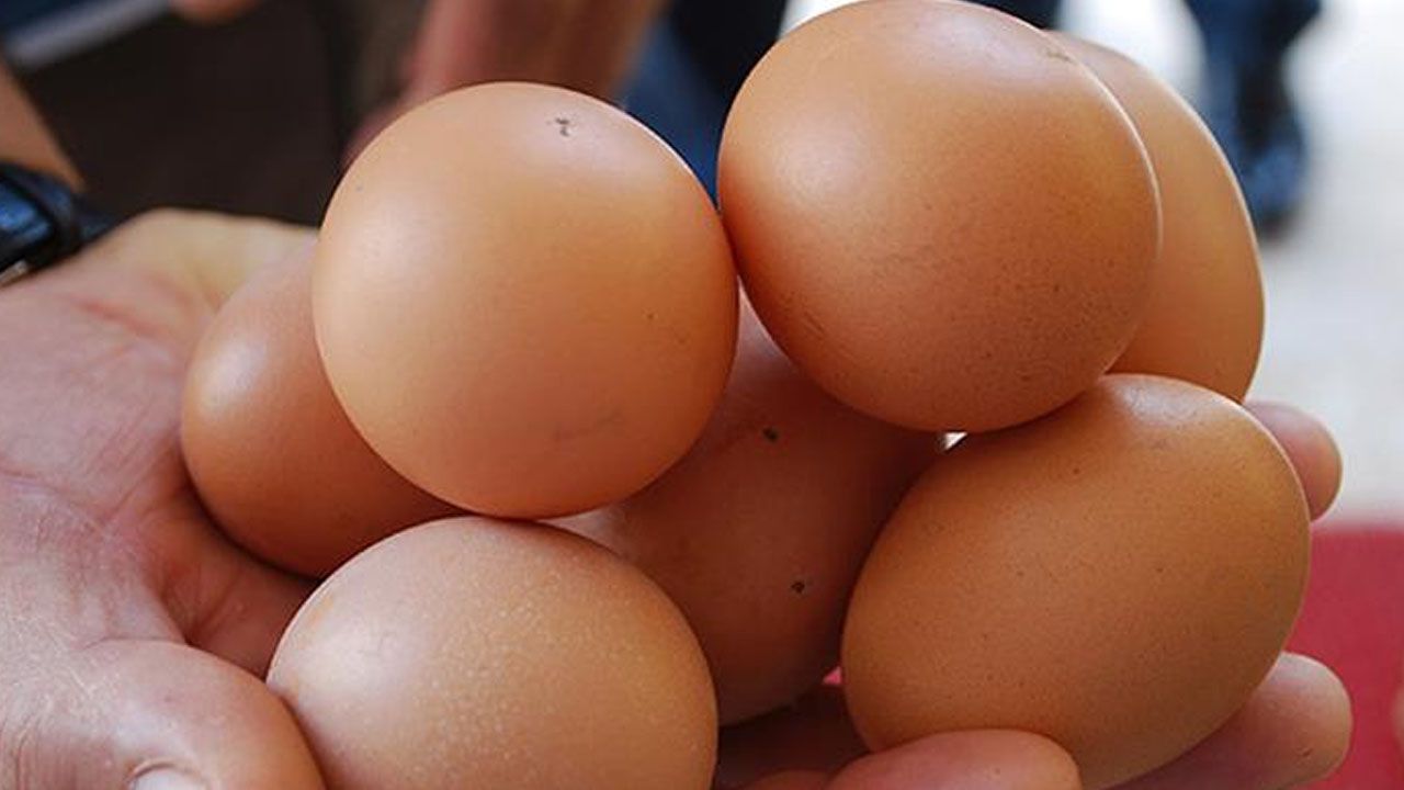 Yumurta yemek iyi mi, kötü mü? Cevabı görünce siz de çok şaşıracaksınız