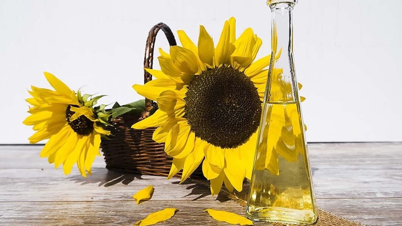 Yağı hayatımdan çıkarırsam ne olur? Cevabı görenler gözlerine inanamadı