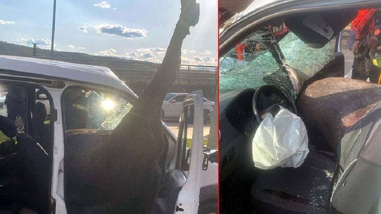 Yola Fırlayan At Polis Aracına Girdi thumbnail