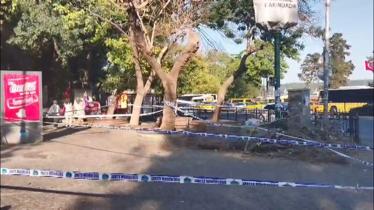 Kaldırımda yürüyen yayaların üzerine ağaç devrildi! 3 yaralı