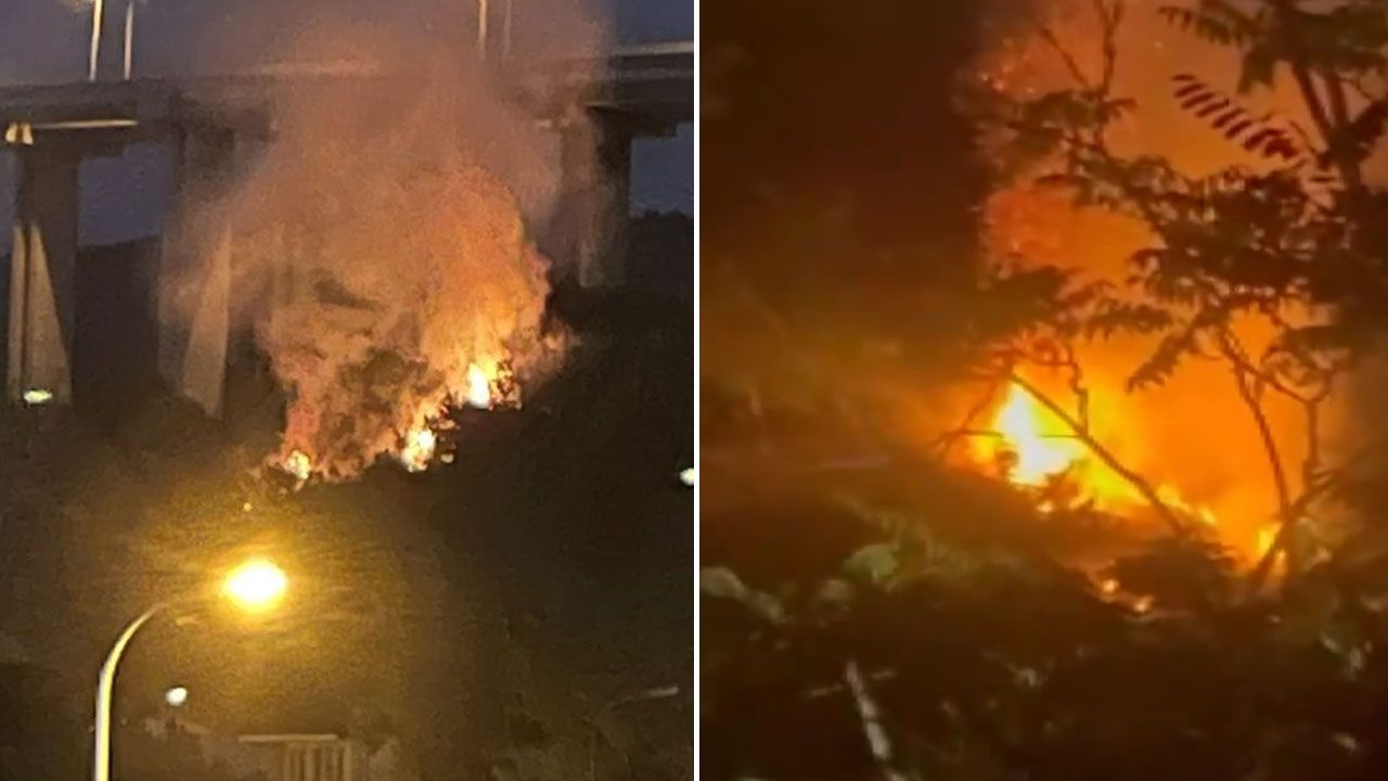 Beykoz’da Ormanlık Alanda Yangın