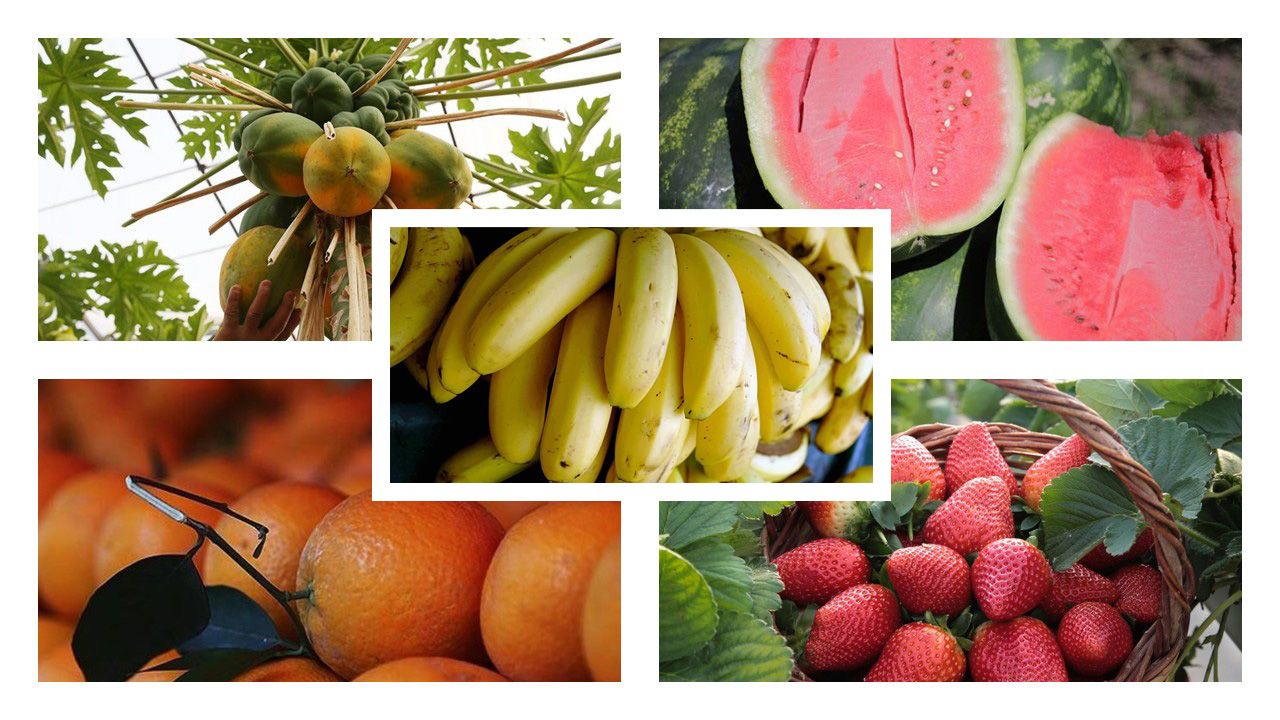 Herkes bu meyveleri konuşuyor! Aç karnına yiyenler etkisini görüyor