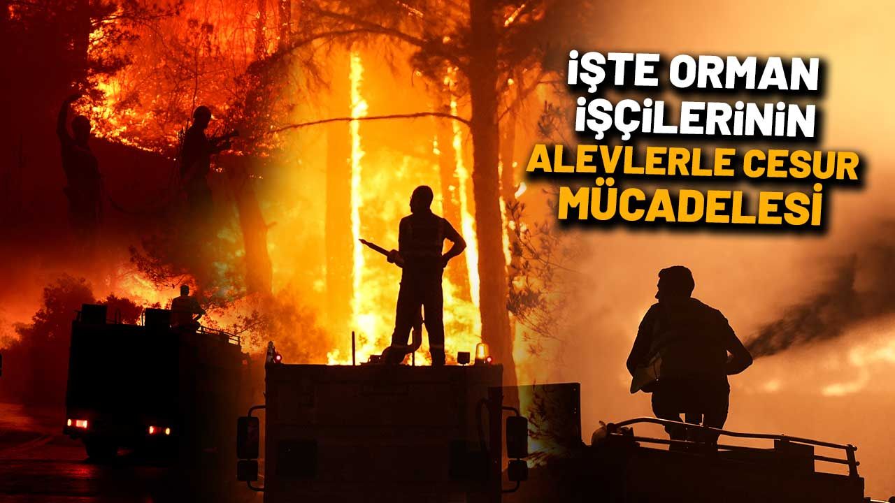 Yeşil vatanı korumak için canlarını hiçe saydılar