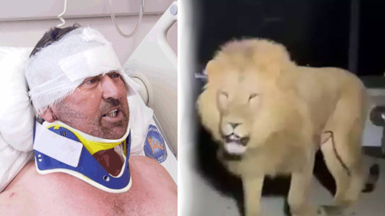 Zeus'un Saldırdığı Süleyman Kır: Aslana Hakkımı Helal Ettim thumbnail