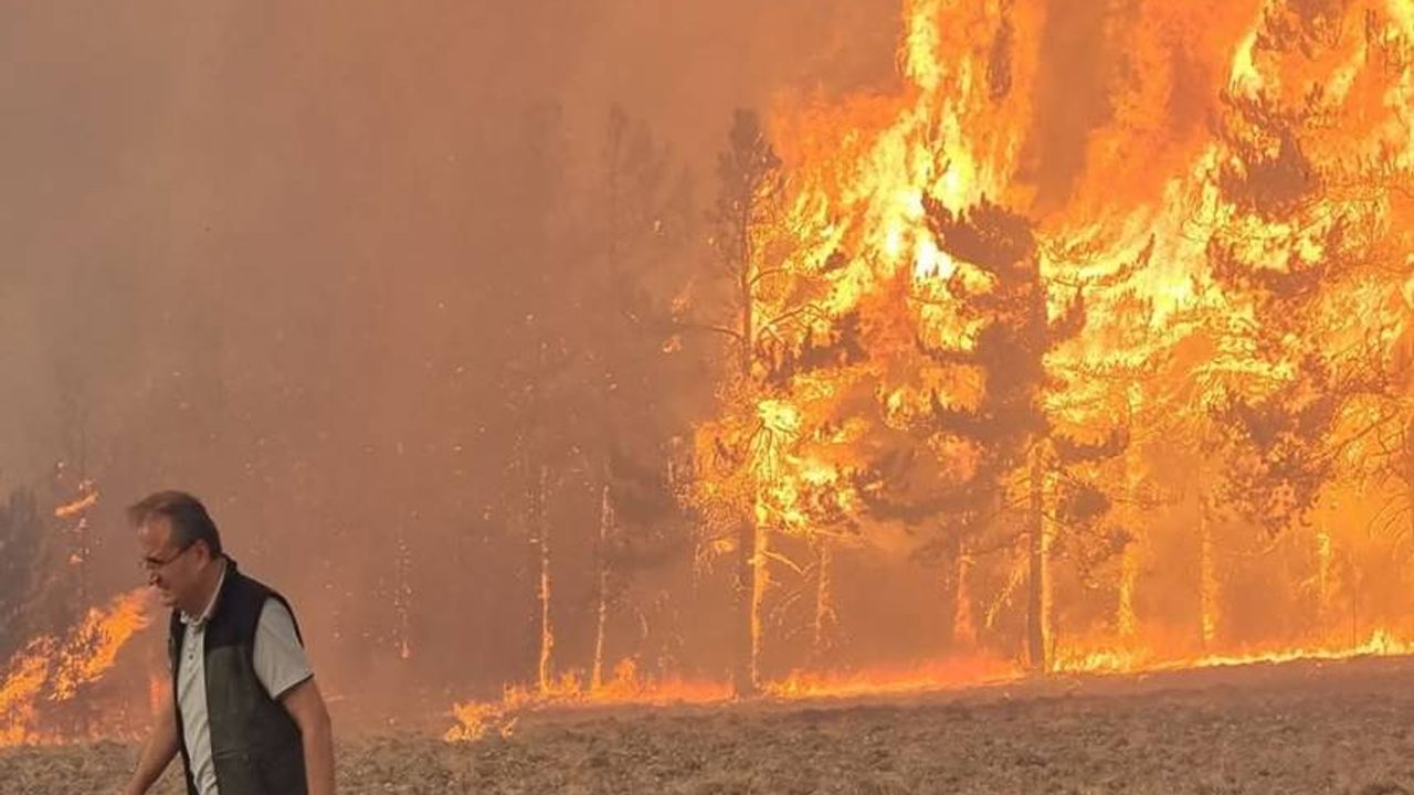 Bolu’da Orman Yangınına Neden Olan 1 şüpheli Tutuklandı