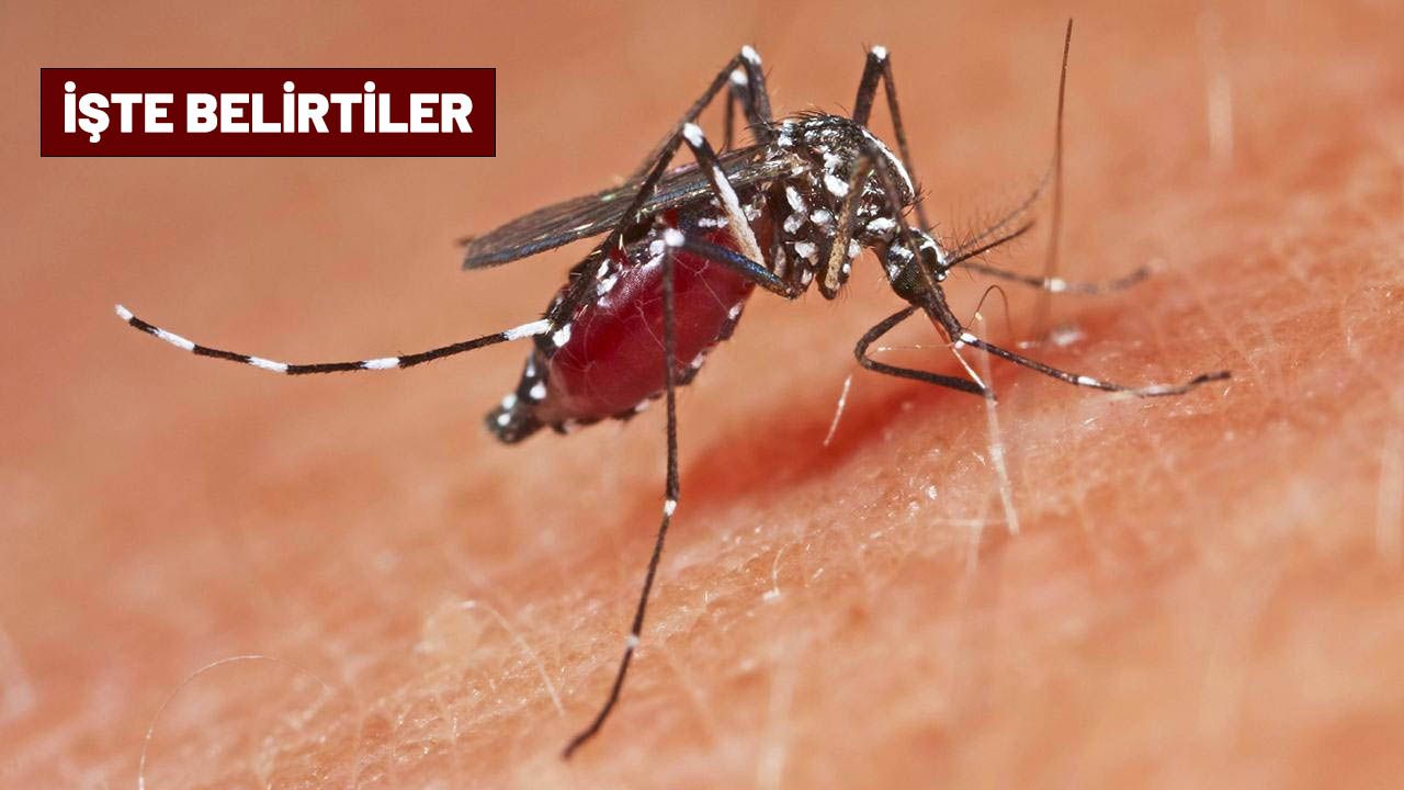 Çin’de Yeni Salgın! 3. Seviye Acil Durum Ilan Edildi