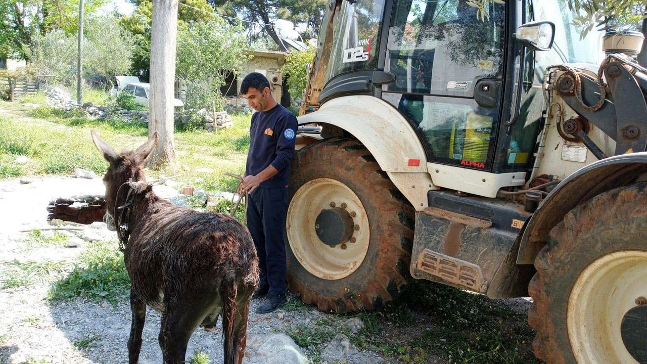 Foseptik çukuruna düşen eşeği itfaiyeciler kurtardı