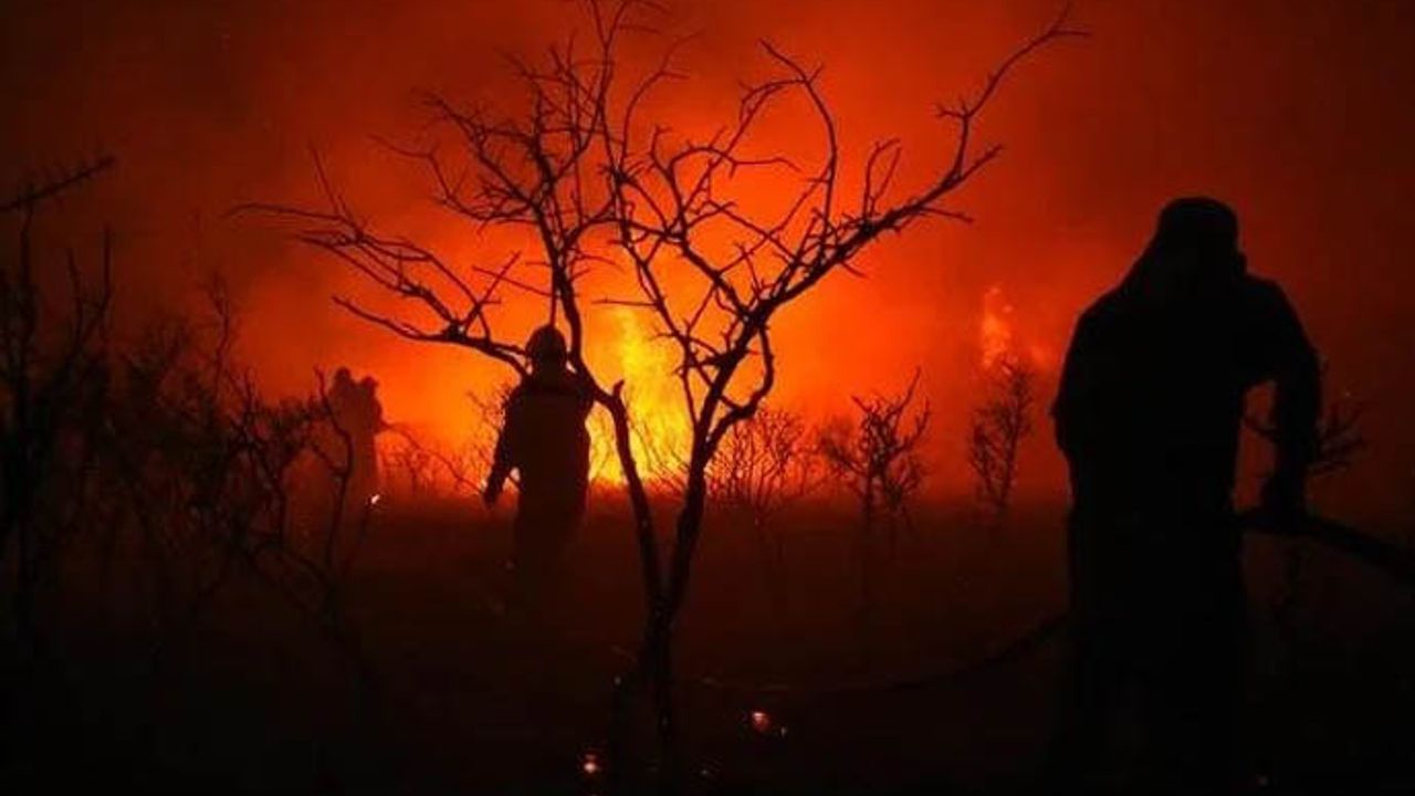 Arjantin'de günlerdir devam eden yangınlar 50 yıllık araştırmaları küle çevirdi!