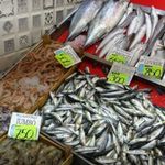 Palamut, istavrit, kolyoz ve sardalya severlere kötü haber