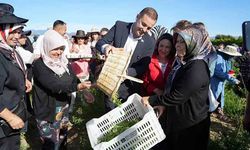 Başkan Akın’dan kadın çiftçilerin elini güçlendiren destekler