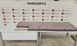 Gümrükte 103 milyon TL'lik yasaklı madde operasyonu