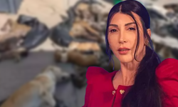 Hande Yener'den Gebze'deki hayvan katliamına tepki: Razıysan vicdanını kaybetmişsin