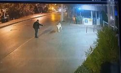 Kaldırımda duran köpeğe silah çekti, serbest kaldı!