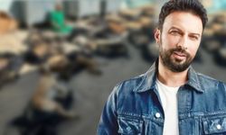 Tarkan Gebze'deki hayvan katliamına isyan etti: Vebalini nasıl ödeyeceksiniz?