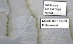 Skandal büyüyor! Yüzde 70 denilen kaymakta manda sütü çıkmadı