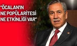 Bülent Arınç'tan Bahçeli'ye: Öcalan'ın sözlerinin kabul edileceğini mi düşünüyorsunuz?