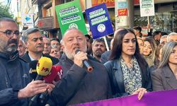 DEM Parti'den kayyım atamalarına yeni tepki: Barış ve demokrasi mücadelesi devam edecektir!