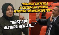 Yusuf Tekin'in ardından AKP’li Usta da kreşlerin kapatılmasını LGBT’ye bağladı