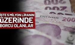 Gelir İdaresi 36 bin 806 vergi yüzsüzünü isim isim açıkladı