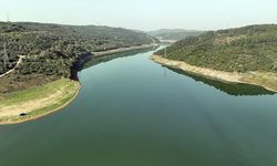 Yağışlar işe yaradı mı? İşte İstanbul barajlarında son durum...