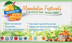 Geleneksel Bodrum Mandalin Festivali Başlıyor