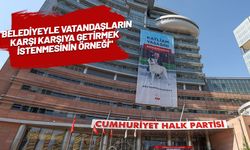 CHP'den belediyelere 'sokak hayvanları yönetmeliği' uyarısı