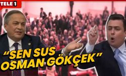 CHP'li Seyit Torun'dan lafını bölen Osman Gökçek'e: Ne söylesem faydasız sana