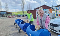 Köpek velisi tutuklandı!