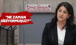 Pervin Buldan'dan İmralı ziyareti sorusuna yanıt