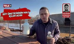 Besiciler isyanda! Süt üreticilerinin neden zarar ettiğini teker teker anlattı