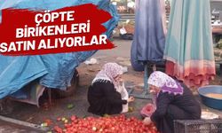 İşte yoksulluğun fotoğrafı: Çöpteki meyve ve sebze 15 lira!