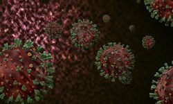 Mustasyona uğrayan H3N2 korkutuyor! DSÖ'den uyarı geldi