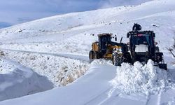 Van'da onlarca yer ulaşıma kapandı