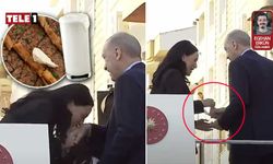 Erdoğan’ın elini öpen kadın vekil aldığı harçlıkla Aydın’da pide-ayran bile yiyemiyor