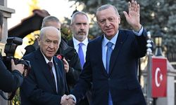 Erdoğan-Bahçeli görüşmesinin ana gündemi belli oldu