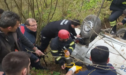 Ordu'da kamyonet uçuruma devrildi: 3 yaralı