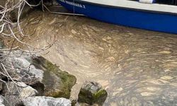 Kadıköy'de korkutan görüntü