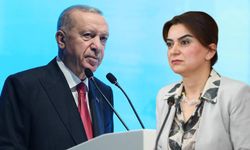 Çözüm sürecine bir ayar daha! Erdoğan'ın Diyarbakır planını Gülistan Kılıç Koçyiğit anlattı