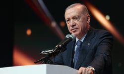Bir geri iki ileri! Erdoğan'a yeni yetki