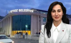 Beykoz Belediyesi Başkan Vekili seçilen Özlem Vural Gürzel kimdir?