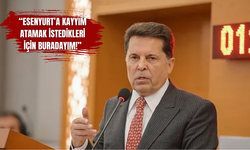 Ahmet Özer'den çözüm süreci çıkışı: Belediye başkanı seçilmeseydim yardım isteyeceklerdi