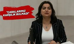Kriz çıktı! DEM AKP’ye muhalefet edecek