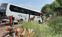 Çanakkale'de 8 kişinin öldüğü kazanın inceleme raporu çıktı