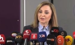 DEM Parti: Türkiye'nin yeni bir anayasaya ihtiyacı var