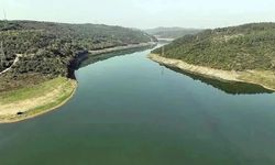 Yaz aylarına sayılı günler kaldı! İstanbul’da barajlar doldu mu?