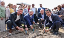 Buca’da bin umut fidesi toprakla buluştu