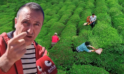 Çay üreticilerinden 'fiyat' isyanı: Bizim emeğimiz bir cips kadar etmiyor mu?