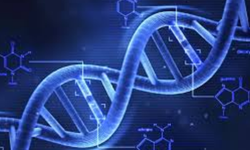 DNA testi yaptırdı eşiyle kardeş çıktı